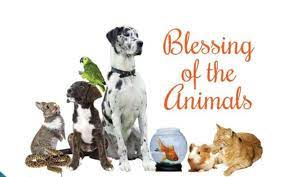 Blessing of Animals